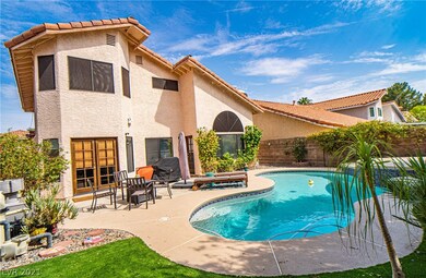 Backyard Dream!