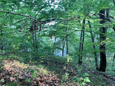 288 Sequoyan Ct, Clay Township, MO 63435 - photo 6