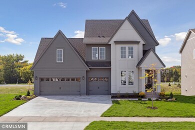 10119 Shadyview Ln N, Maple Grove, MN 55311 - photo 3