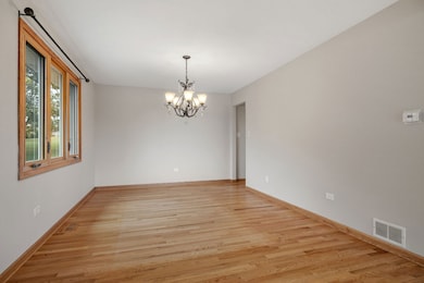 13255 W Long Run Ct, Homer Glen, IL 60491 - photo 5