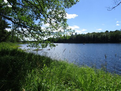 IMG_0874