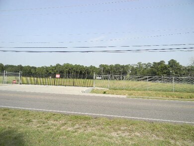 10906 Hirsch Rd, Houston, TX 77016 - photo 2