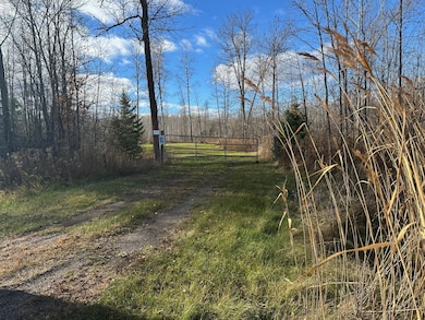 TBDxx Minnesota 65, Jacobson, MN 55752 - photo 3