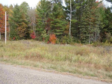 On State Highway 86, Tomahawk, WI 54487 - photo 2