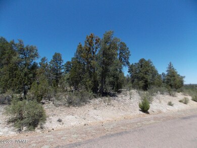 3326 Sawmill-Pic2