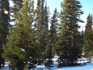 59A Little Thunder Lot 59a 4 46 Acre, Big Sky, MT 59716 - photo 7