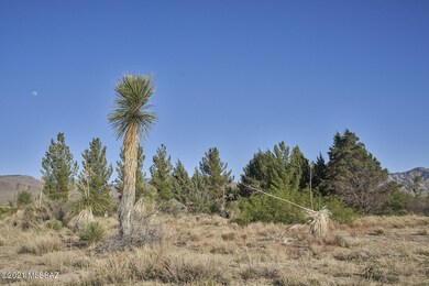 DSC02770_1