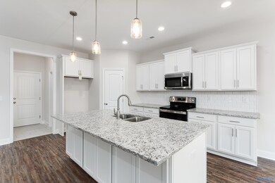 3036 Henry Rd SE, Decatur, AL 35603 - photo 3