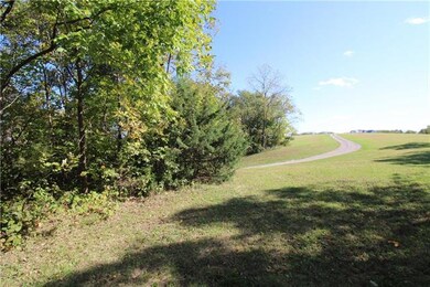 SW corner of property as looking towards NEIGHBOR'