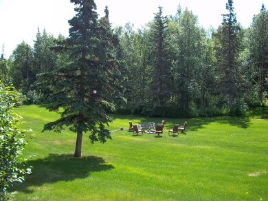 Fenced back yard