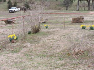 7-pasture