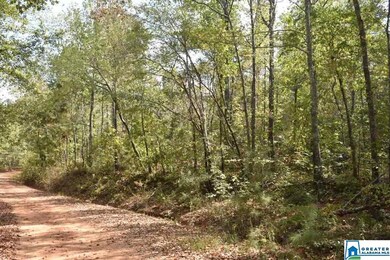 0 County Road 249 unit 23.05 Acres 881142, Newell, AL 36280 - photo 3