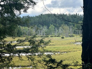 1.5 Farr Rd unit 5, Ohio, NY 13324 - photo 5