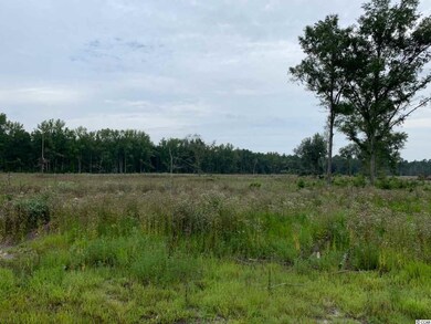 65 acres Sims Reach Rd unit Williamsburg County, Kingstree, SC 29556 - photo 2