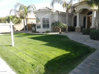 Front yard