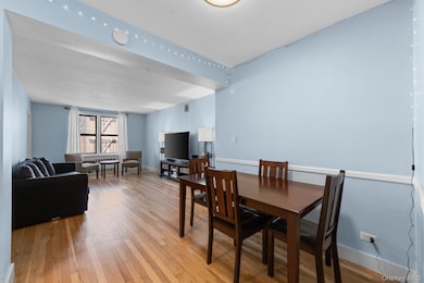 Origin Briggs unit 4F, Bronx, NY 10458 - photo 4