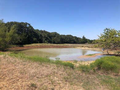 TBD Dripping Springs Rd, Denison, TX 75021 - photo 4