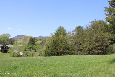 IMG_7827
