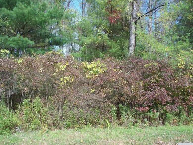 56 - G Summit Ln, Sleepy Hollow Lake, NY 12015 - photo 6