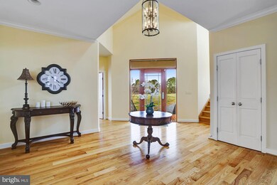 28211 Brick Row Dr, Oxford, MD 21654 - photo 5