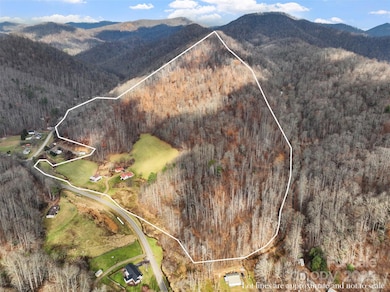 456 Windy Gap Rd, Mars Hill, NC 28754 - photo 3