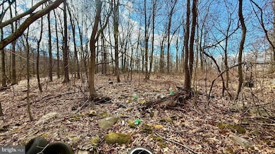 LOT 39 Sparrow Way, Augusta, WV 26704 - photo 6