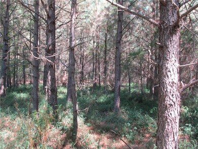 38 Beagle Chase, Prince George, VA 23842 - photo 5