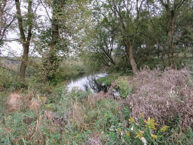 IMG_1310