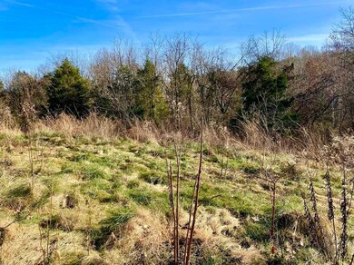 231 Highway 1003, Somerset, KY 42501 - photo 4