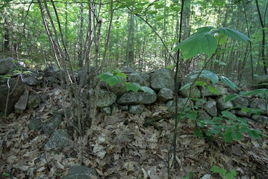 More Stone Walls