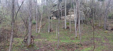 0 Keystone Furnace Rd unit (Keystone Escape), Jackson, OH 45640 - photo 3