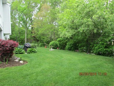 Yard/Garden.
