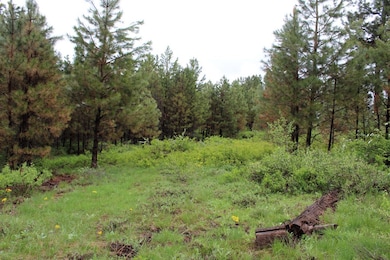 Meadows & Woods