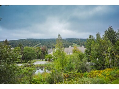 48 Greenspring Rd unit C, Dover, VT 05356 - photo 6