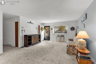 1537 Apple Ct, Canon City, CO 81212 - photo 7