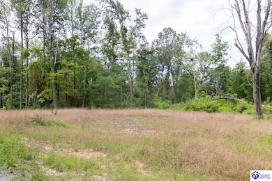 Tract 14 Cook Ln, Cromwell, KY 42333 - photo 5