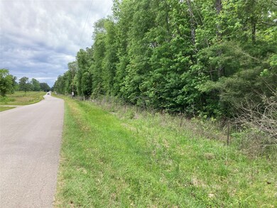 00 County Road 381, Cleveland, TX 77328 - photo 3