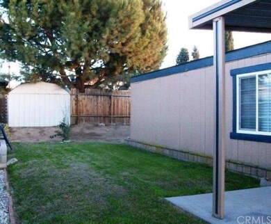 Grassy yard area