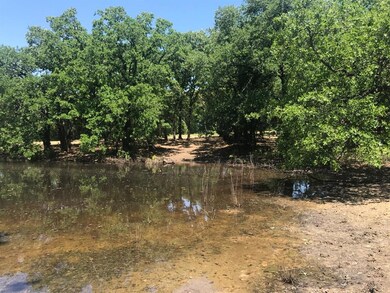 1030 Stagecoach Ranch Dr, Weatherford, TX 76085 - photo 2