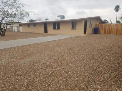 Front Yard 5