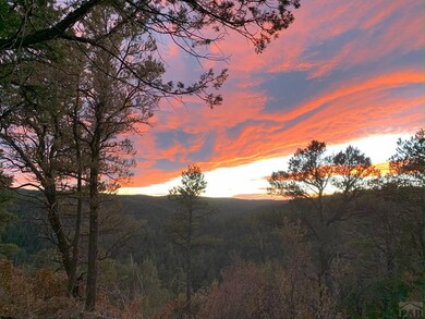 33020 Meadow Ct, Trinidad, CO 81082 - photo 4