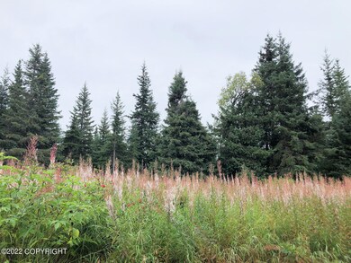 W1 Alaskan Wildwood Ranch(r), Nikolaevsk, AK 99556 - photo 4