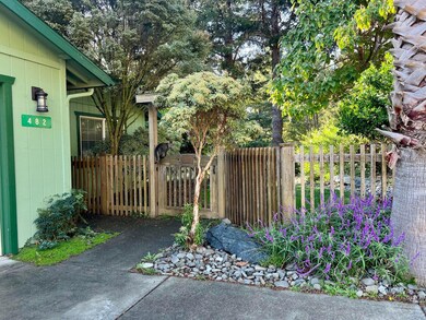 spring entry