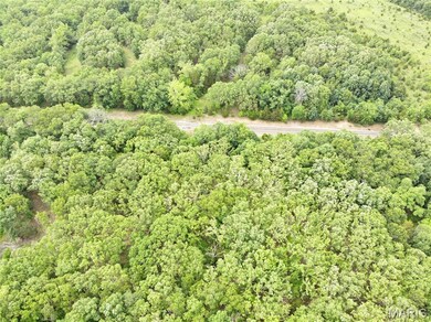 Aerial view of property and surrounding area with a forest