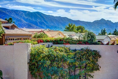 Backyard Mountain View