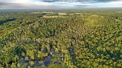 NHN Salem Rd, Picayune, MS 39466 - photo 5