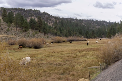 Burns-Izee Rd, Hines, OR 97738 - photo 5