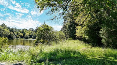 044 Hobby Ln, Kinards, SC 29355 - photo 7