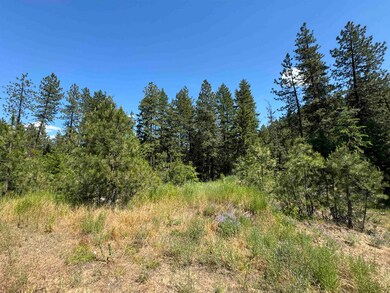 402 N Beck Ln unit Lot 8, Springdale, WA 99173 - photo 6