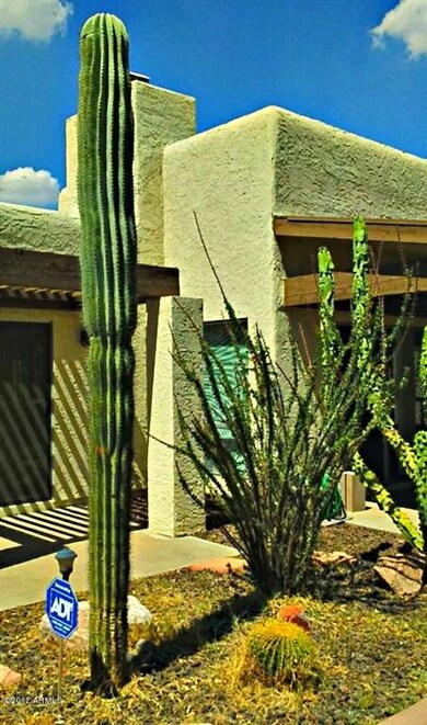 Private Yard 3